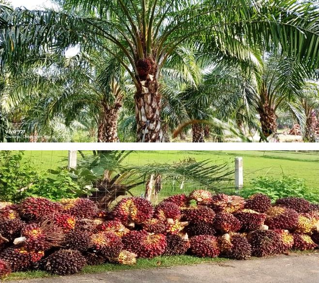 Featured Image Featured Image