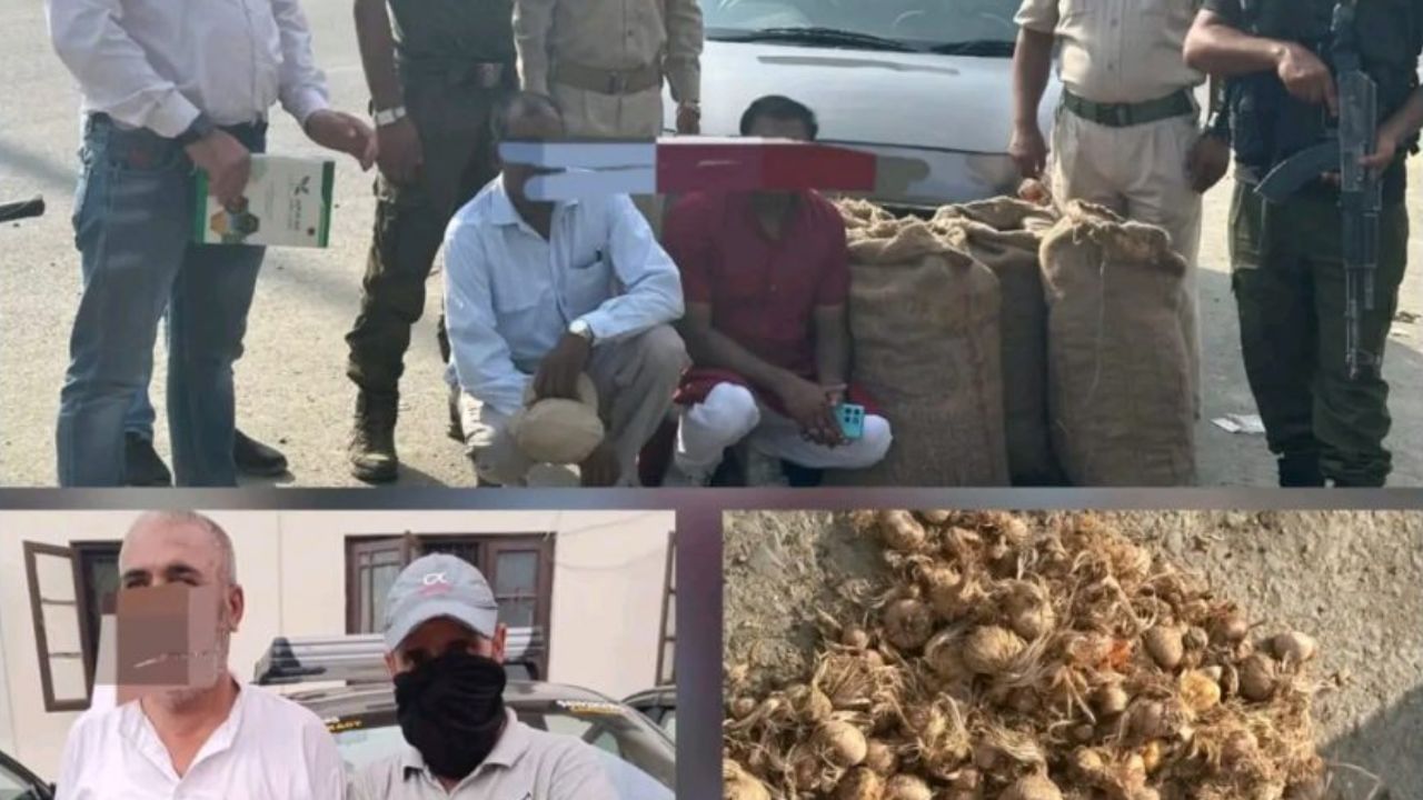 Featured Image Featured Image