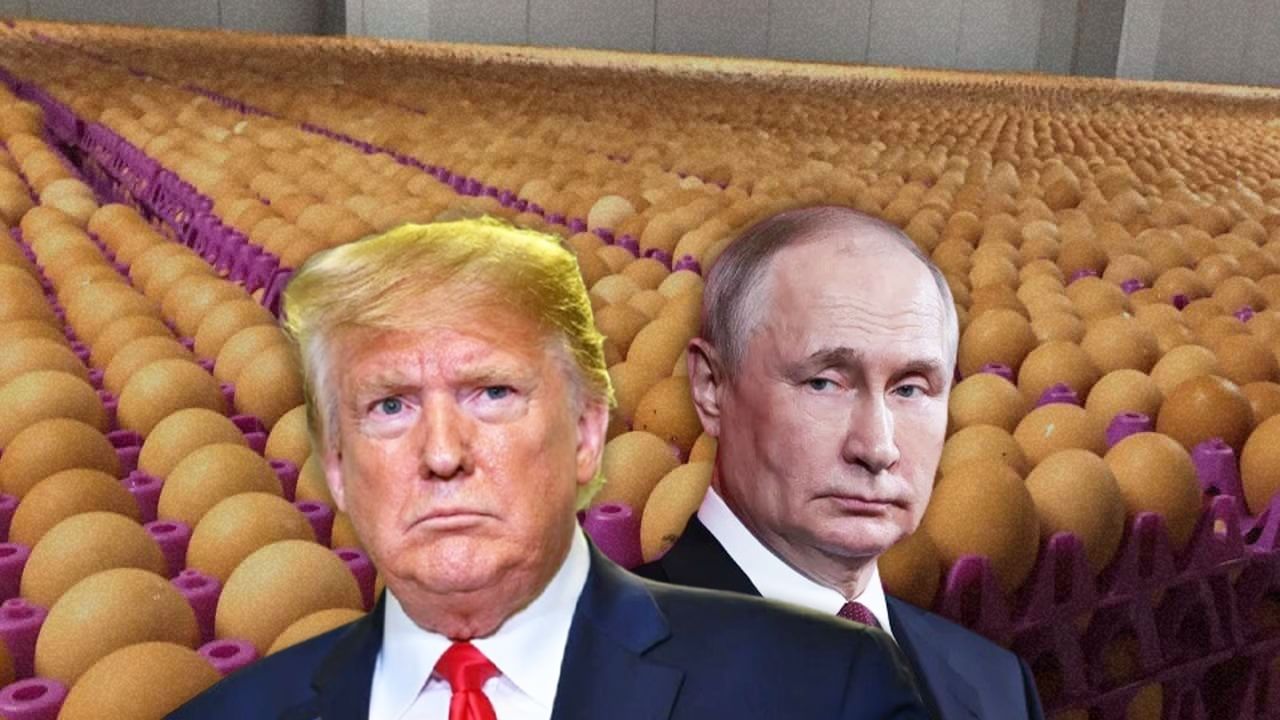 Featured Image Featured Image