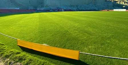 पाकिस्तानी