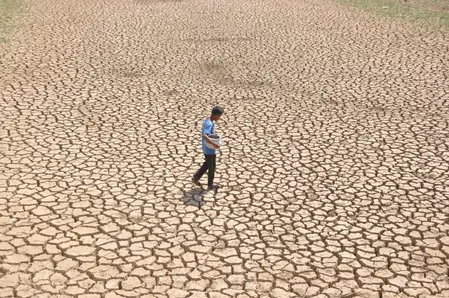 तमिलनाडु