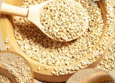 सर्दियों